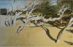 Schatten, Dünenwäldchen Algadir, Marokko 86 x 68 cm, Tusche-Punkttechnik und Aquarell